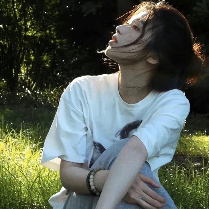 太阳战车的第七头马