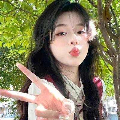 探案新窍门 第四季